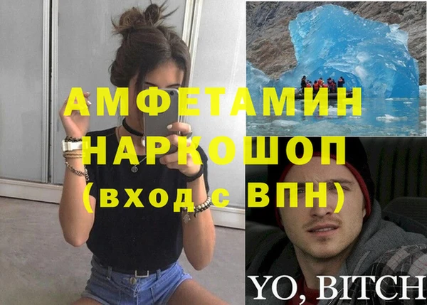 PSILOCYBIN Алзамай