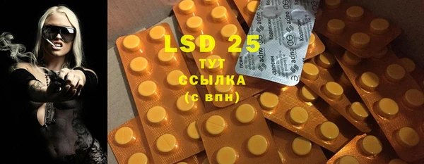 PSILOCYBIN Алзамай