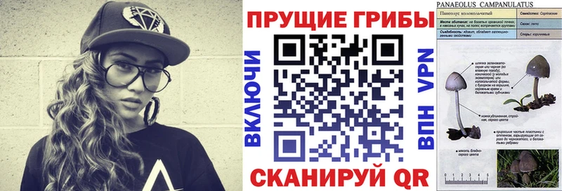 Галлюциногенные грибы Psilocybine cubensis  Сосногорск 