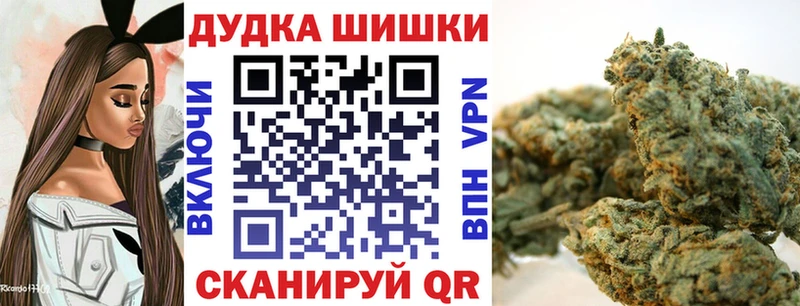 Бошки марихуана Amnesia  Сосногорск 
